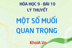 Muối Natri Clorua NaCl, Kali nitrat KNO3 tính chất và ứng dụng - Lý thuyết Hóa 9 bài 10